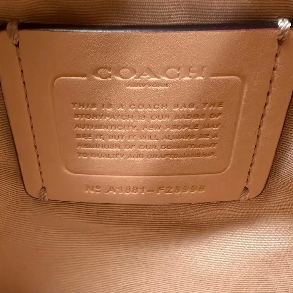 Coach Lexy Chain Shoulder Bag